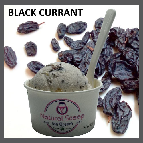 Black Current ice cream