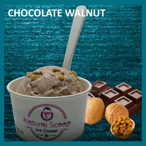 Chocolate Walnut ice cream