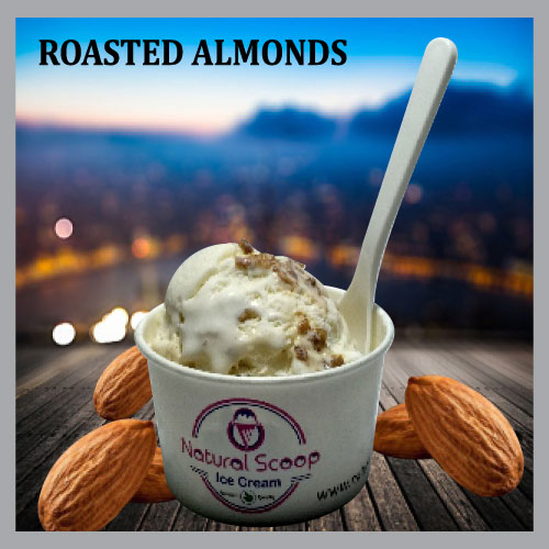 Roasted  Almonds ice cream