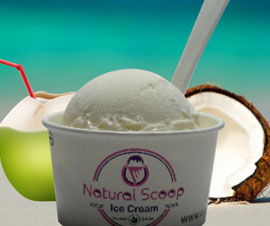 Top Tender Coconut Ice Cream Manufacturer