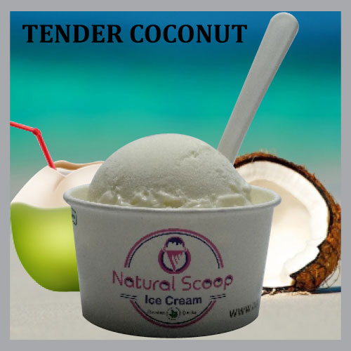 Tender Coconut ice cream
