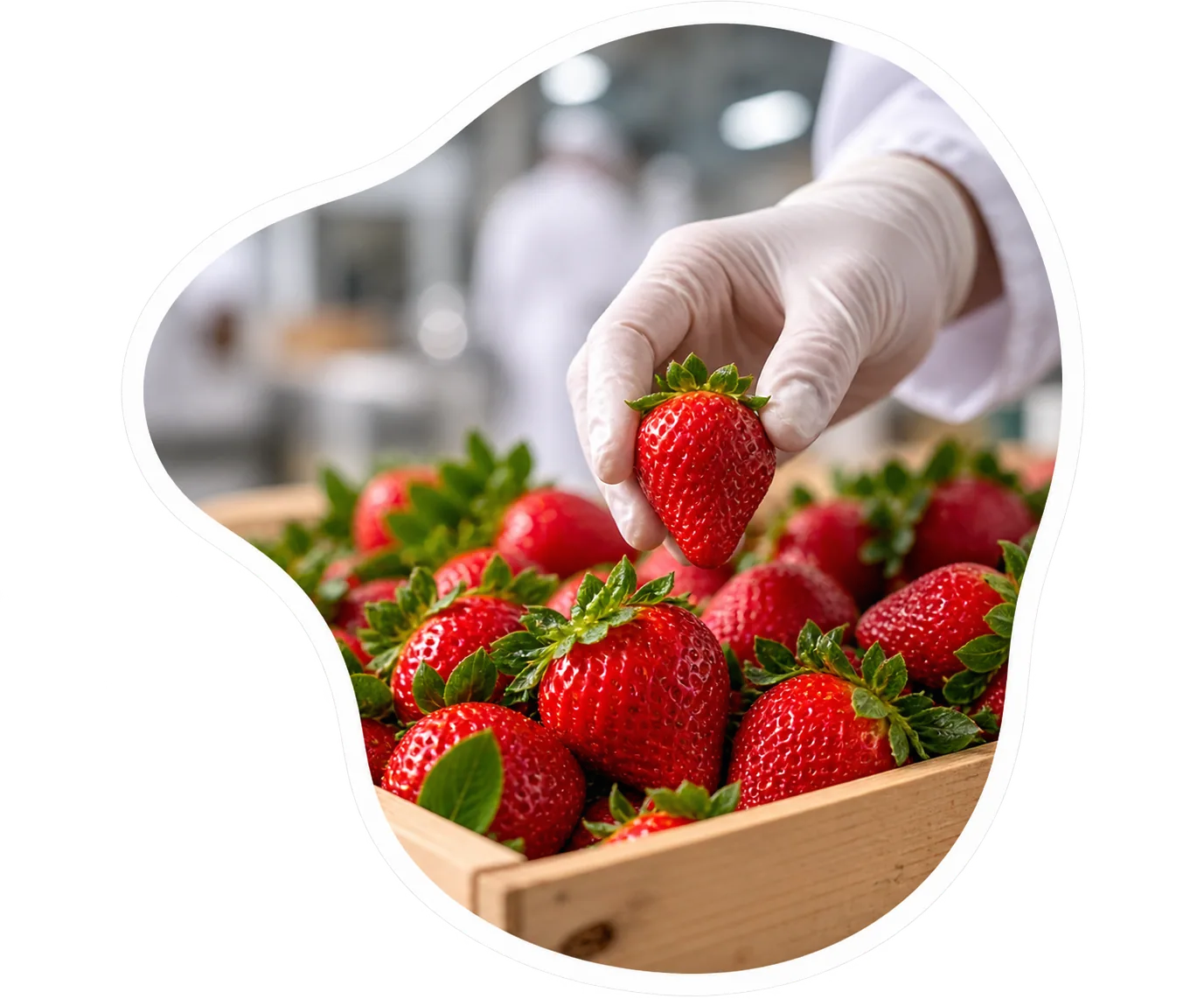 SELECT — Natural Scoop strawberry ice cream process
